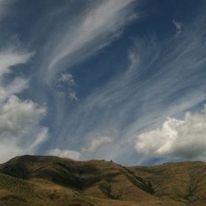 Meet your Posher, Ellen